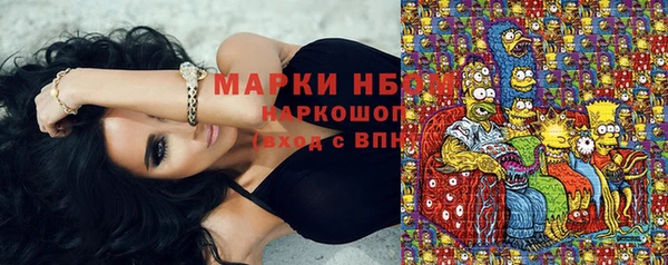 твердый Алзамай